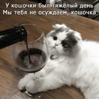 🍷