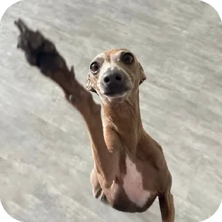 👏