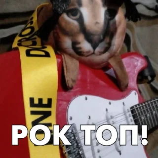 👨‍🎤
