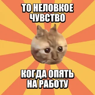😳