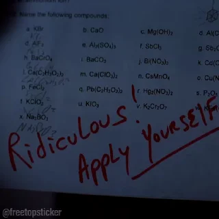 📓