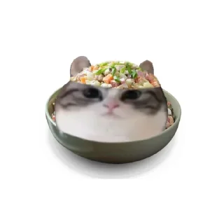 🍲