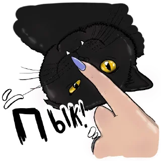 🐈‍⬛