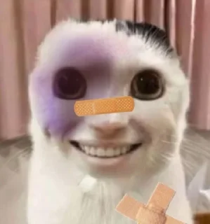 ☃️