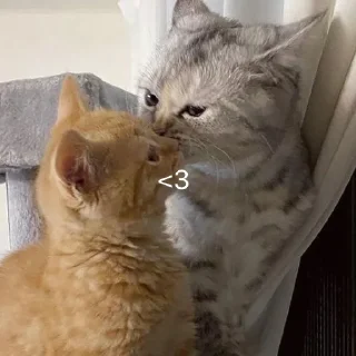 ❤️