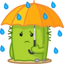 ☔