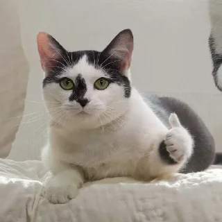 👍