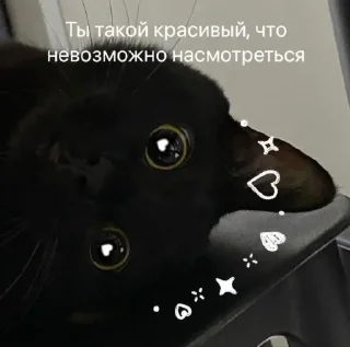🌚