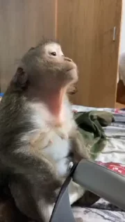 😁