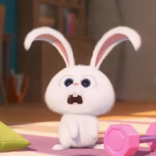 🐰