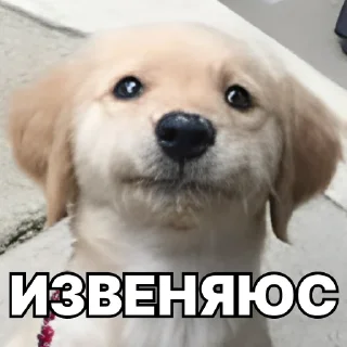 🙏