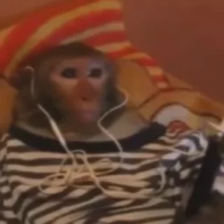 🎧