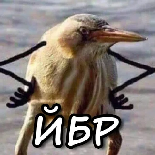 😡