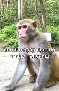 😘