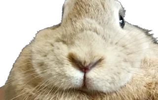 🙂
