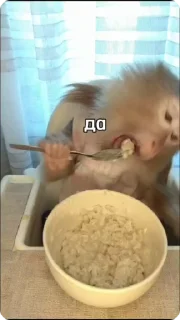 😋