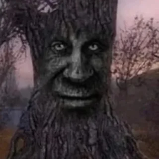 🌳