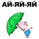 🐷