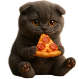 🍕