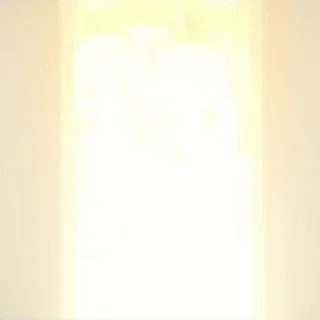 🎉