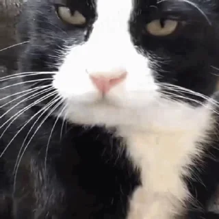 😜