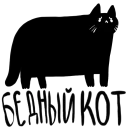 😿