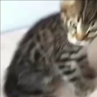🤨