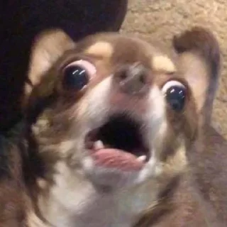 🤩