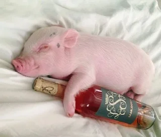 🍷