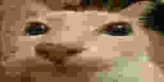🫥