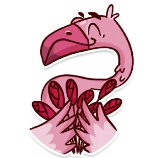 🦩