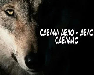 🐺