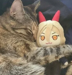 😴