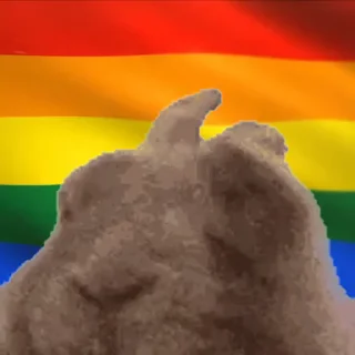 VIBE flag