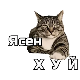 😎