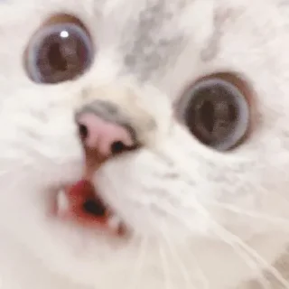 😦