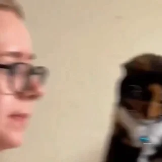 🐈