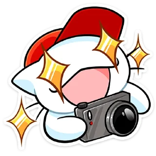 🌟