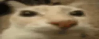 🤙