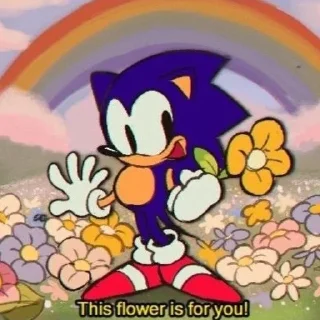🌺