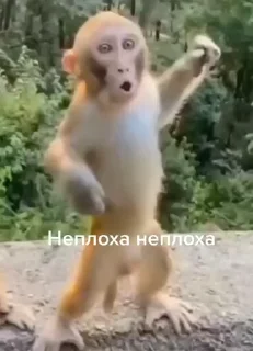 👍