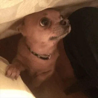 😏
