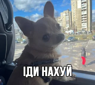 👉