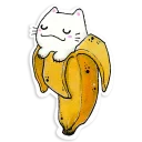 😼