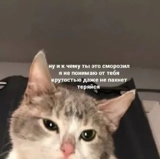 🤨