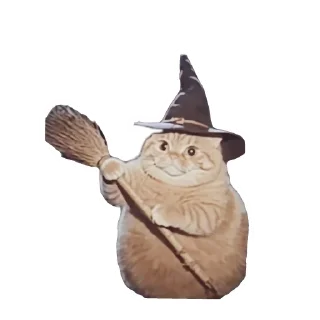 MagicСat