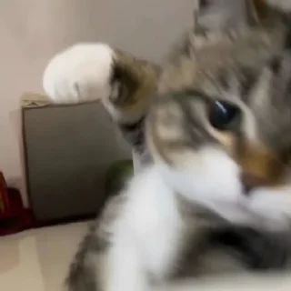 👊