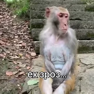 😢