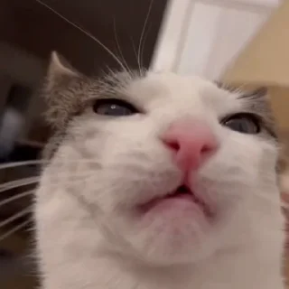 🤐