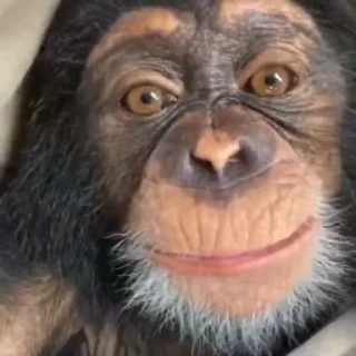 🙂